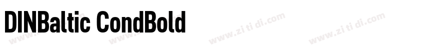 DINBaltic CondBold字体转换